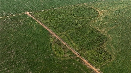 Brazil’s Farming Boom Is Erasing an Ancient Amazonian Civilization