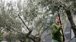 Combating Olive Oil Fraud with Nuclear Innovations